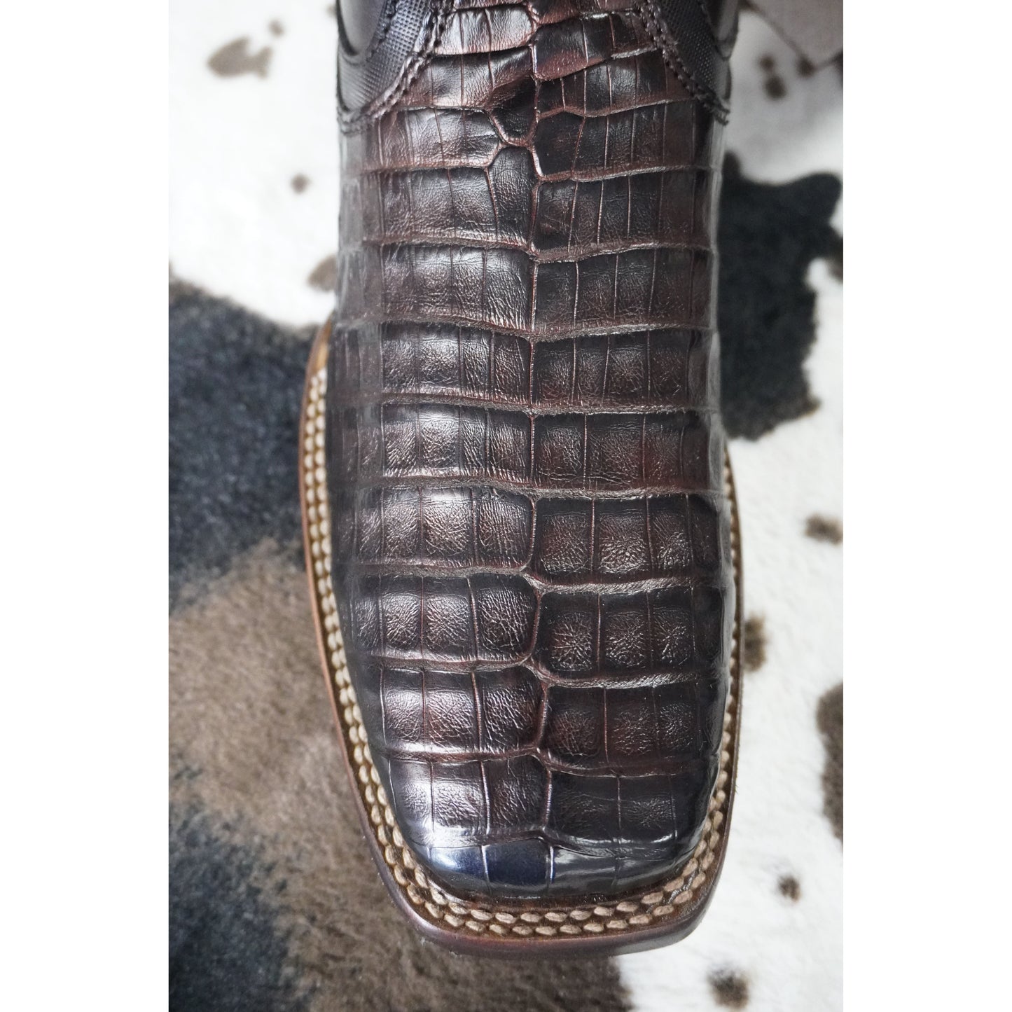 Botin Cuadra Fuscus Lomo Belly Paris Cafe