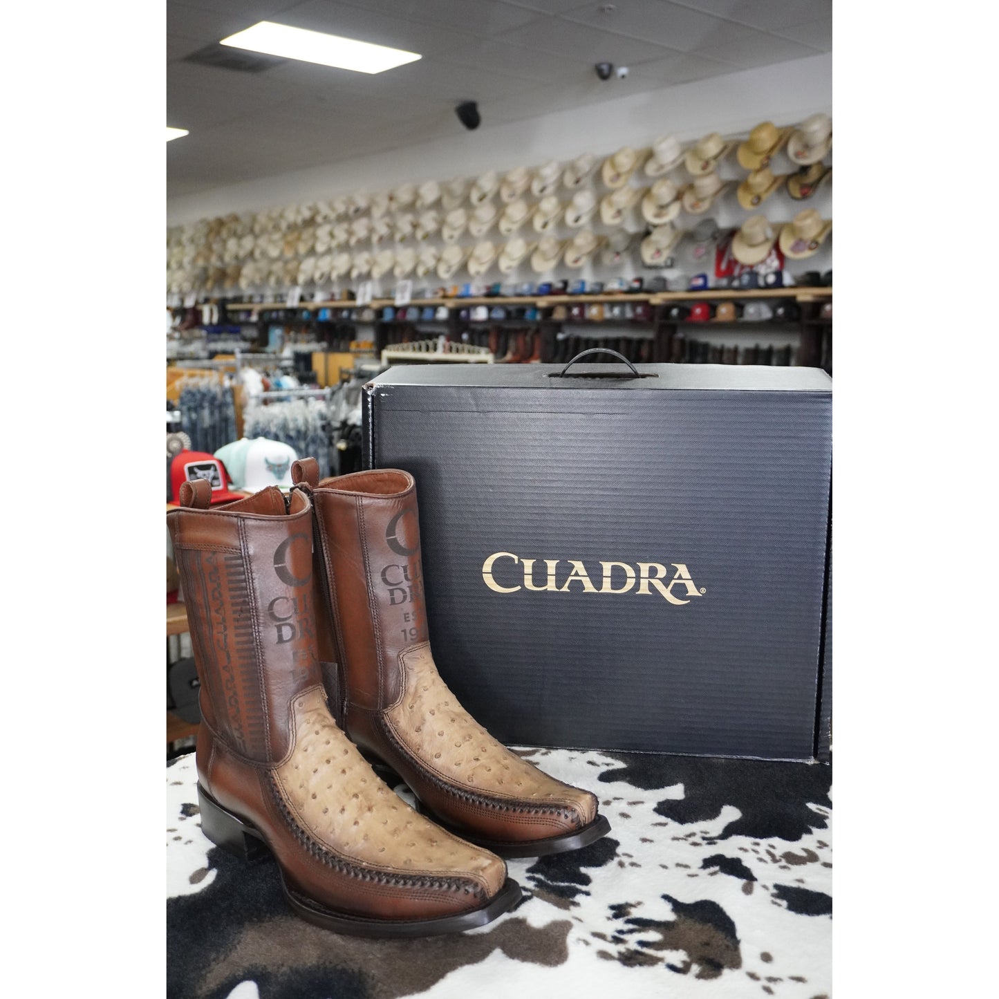Cuadra Hombre Bota de Avestruz Lugano Cafe