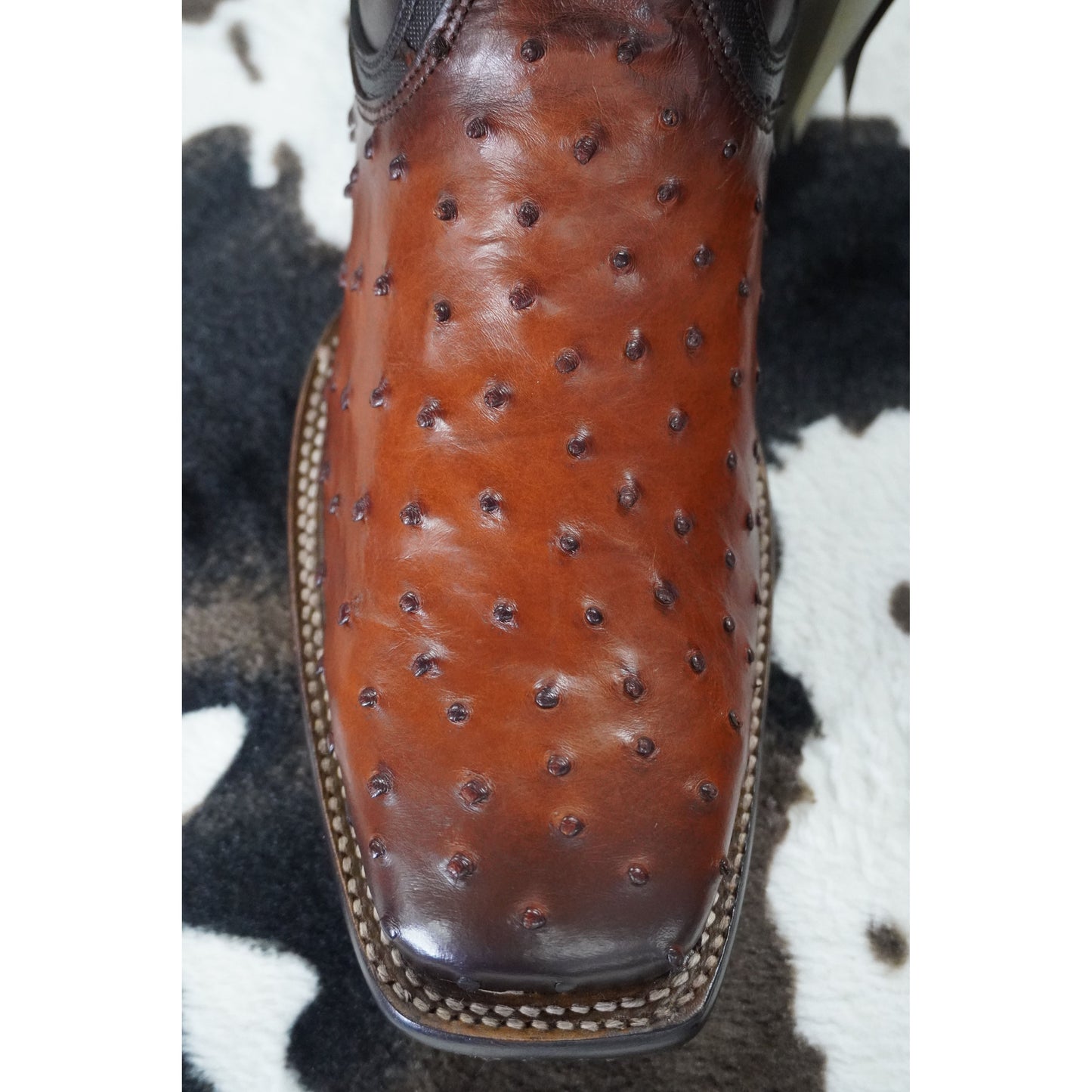 Cuadra Botin Avestruz Moroni Castaño