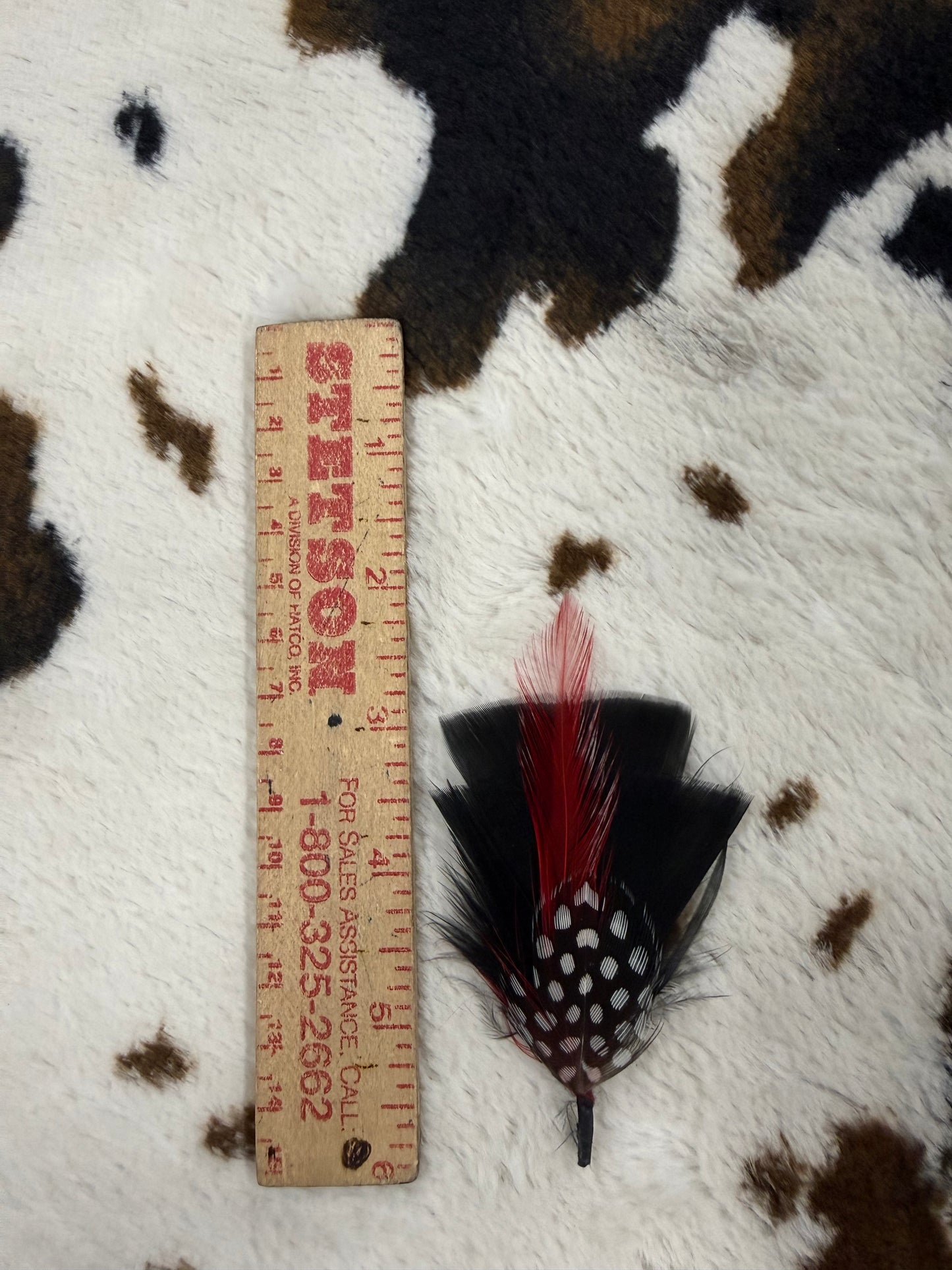 Black Hat Feather