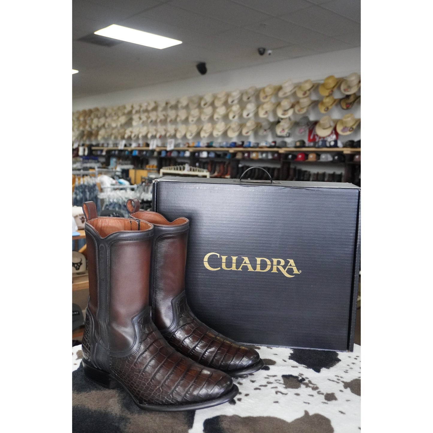 Cuadra Bota De Alligator Lomo Belly Luxo Moka
