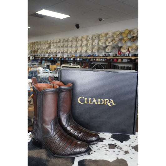 Cuadra Bota De Alligator Lomo Belly Luxo Moka