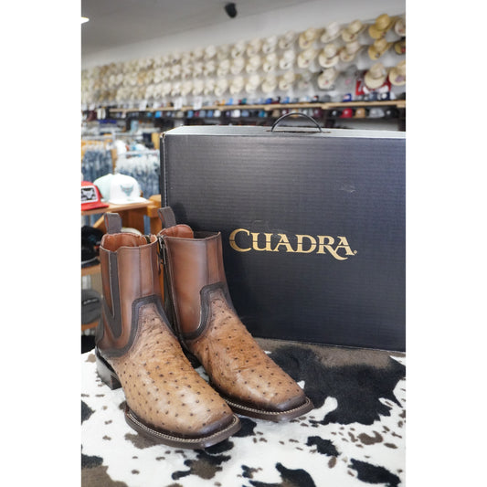Cuadra Botin De Avestruz Lugano Cafe