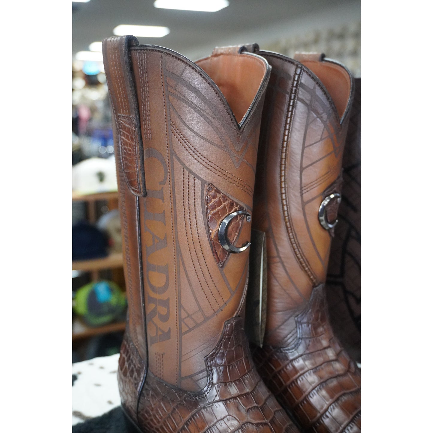 Cuadra Bota De Moreletii Lomo Belly Cafe