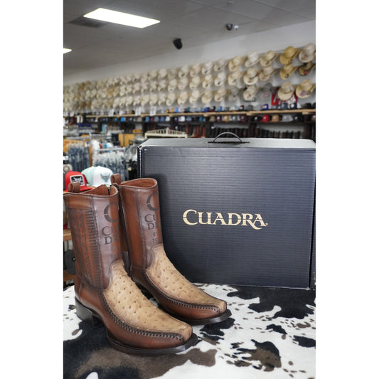 Cuadra Hombre Bota de Avestruz Lugano Cafe