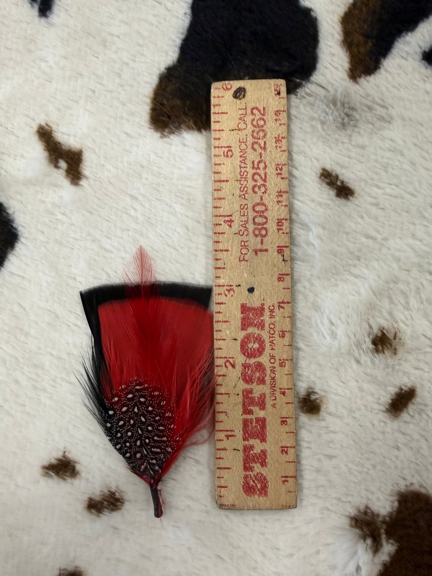 Red Hat Feather