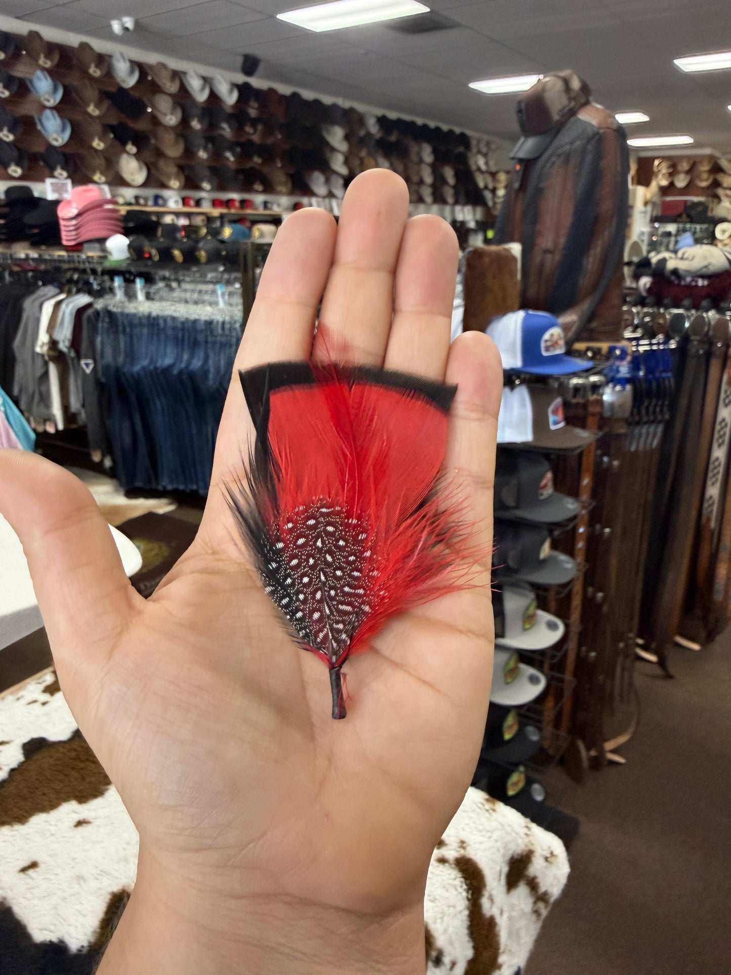 Red Hat Feather