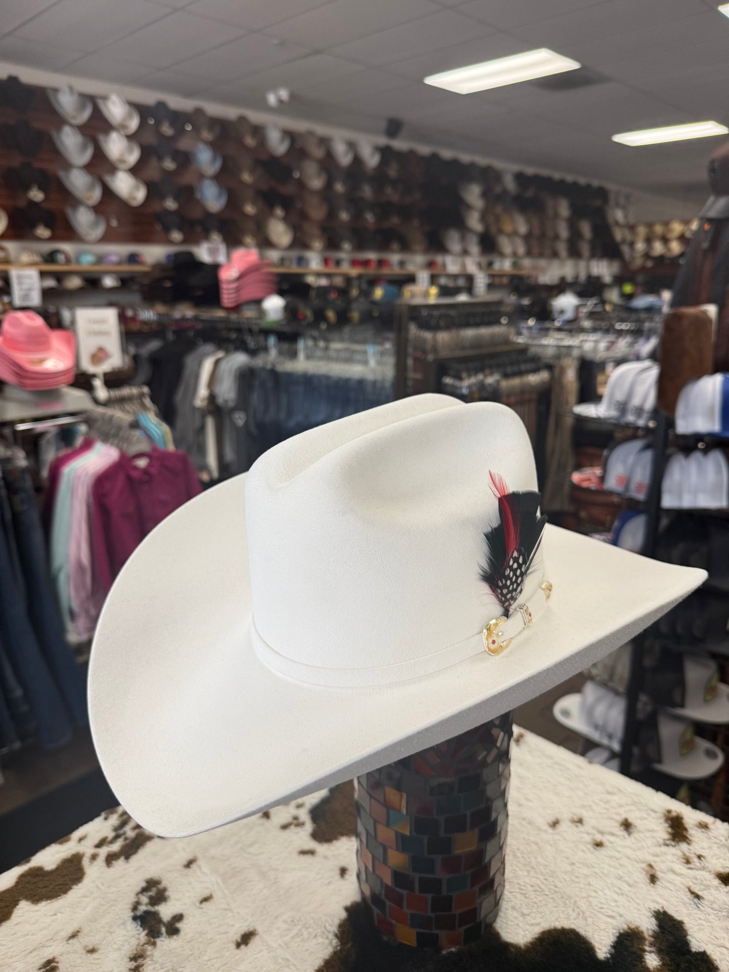 Black Hat Feather