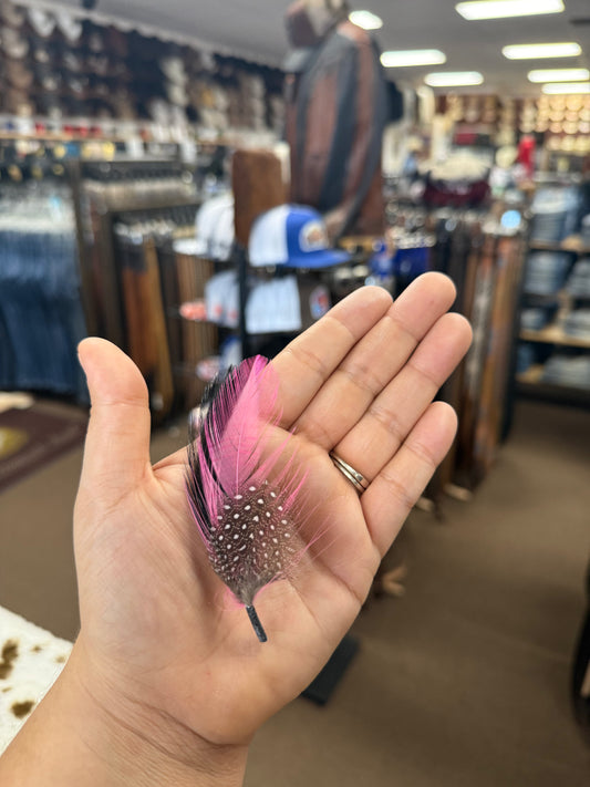 Pink Hat Feather