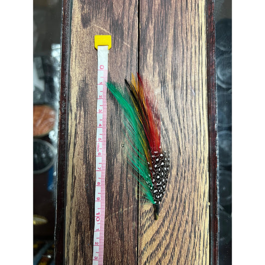 Multi-color Pluma/Feather